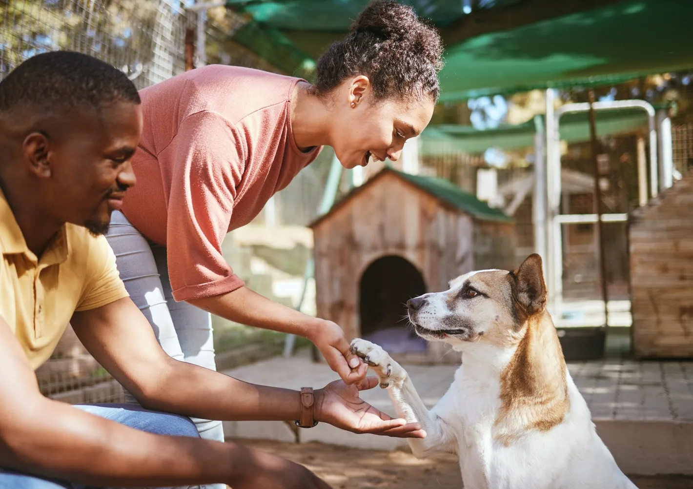 Photo of Buddy the dog shaking hands with staff