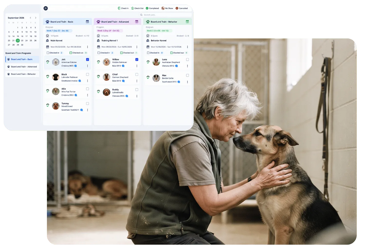 Board and train programs board with Basic, Advanced, and Behavior columns showing weekly sessions, kennel spots, and enrolled dogs, beside a trainer gently holding a German Shepherd in a kennel