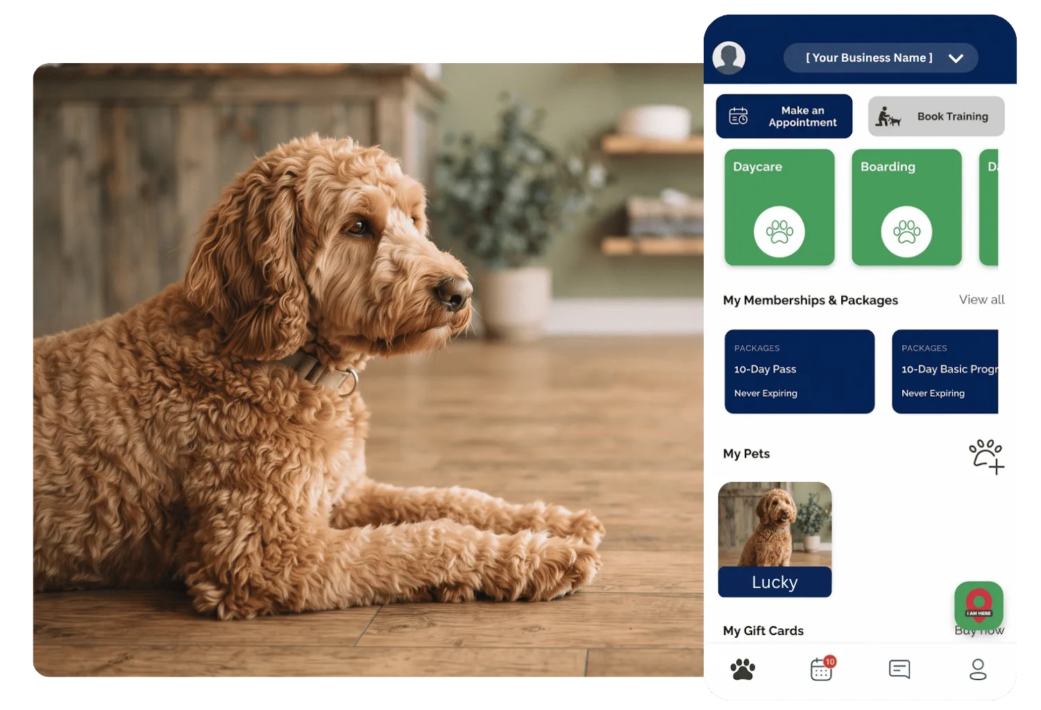 Lucky, a goldendoodle, resting on a wood floor beside a branded pet owner app home screen showing booking, memberships, packages and Lucky's pet profile