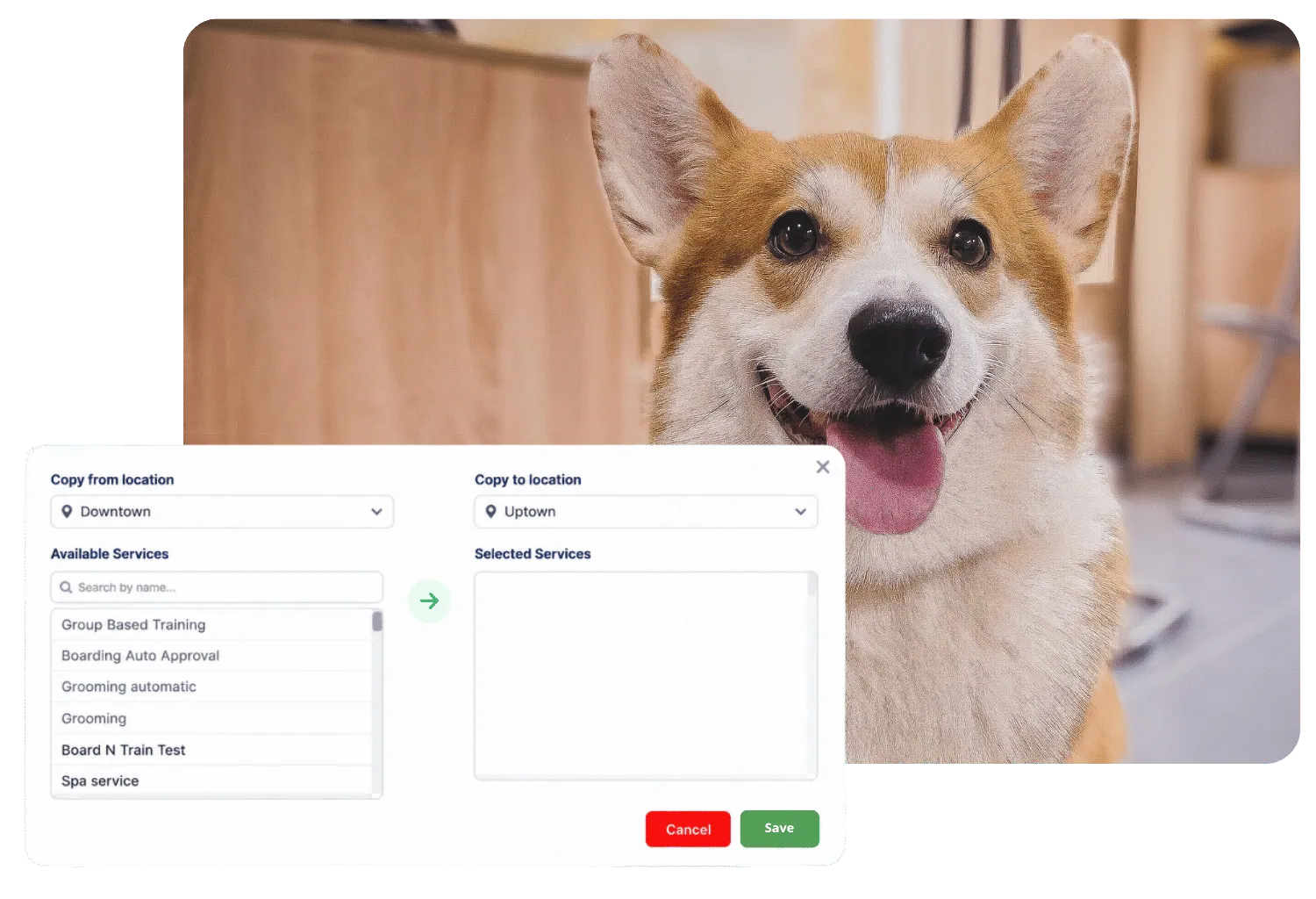 Copy services from one location to another during new-location setup, beside a smiling corgi