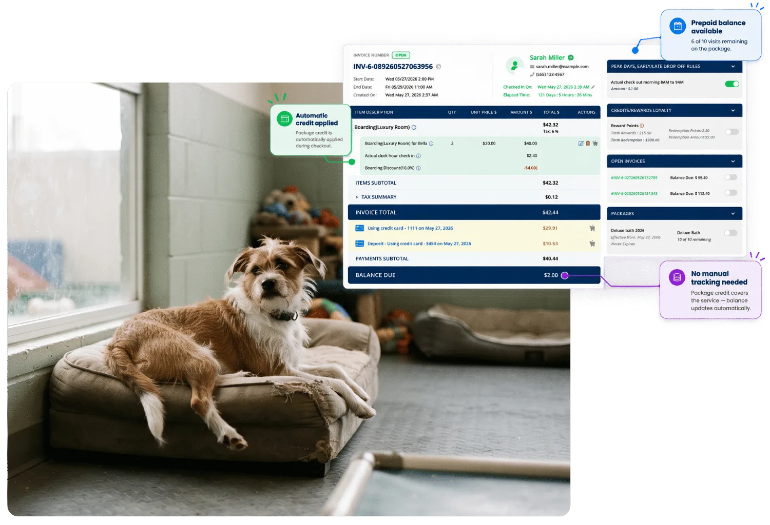 Scruffy terrier lounging on a dog bed by a window, beside a boarding invoice where package credit is applied automatically at checkout, showing prepaid visits remaining and the balance due