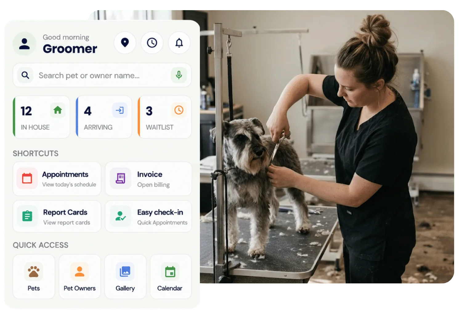 Groomer trimming a Miniature Schnauzer on a grooming table beside the StaffApp+ for Groomers home screen with in-house, arriving, and waitlist counts and shortcuts