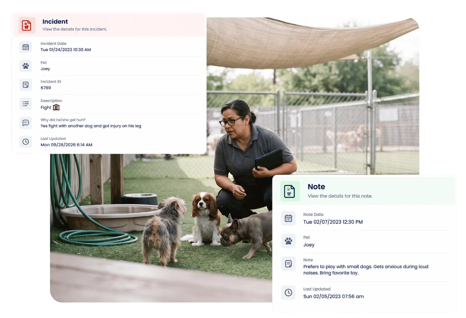Incident card logging a dog fight injury and a behavior note for the same pet, around a staff member with a tablet crouching beside three small dogs in a shaded play yard