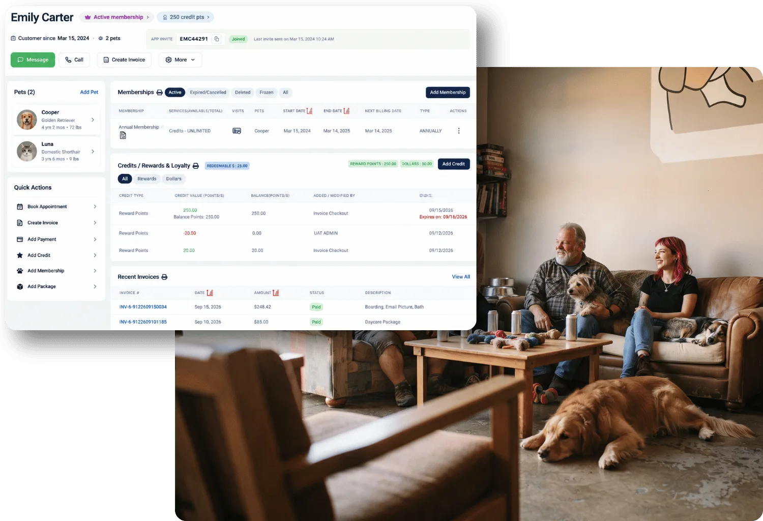 Pet owner profile with active annual membership, credit points, rewards history, and recent invoices, beside guests relaxing on couches with their dogs in a dog bar lounge