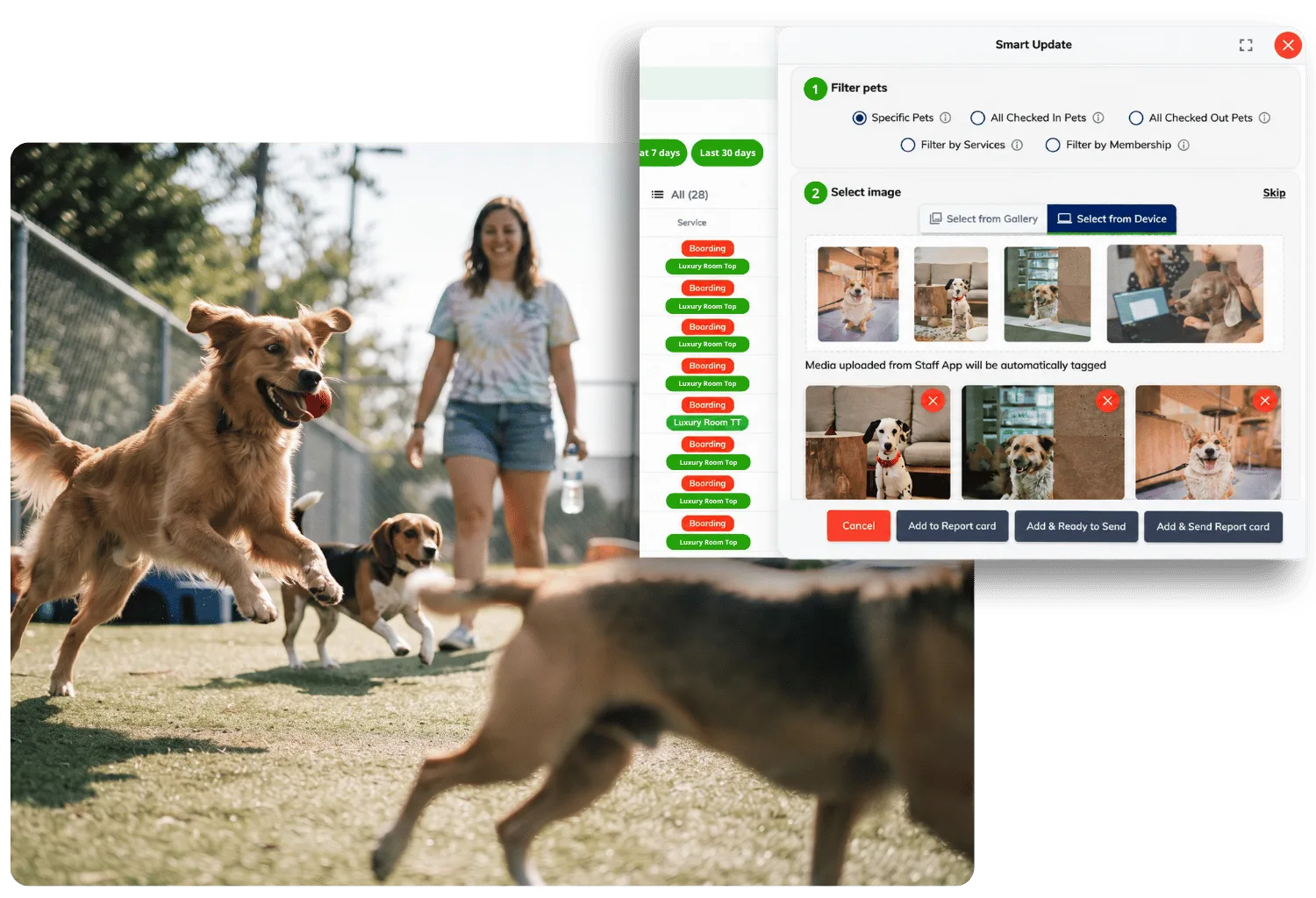 Smart Update dialog for filtering pets and adding tagged photos to report cards, beside a smiling staff member watching dogs run and play fetch in a sunny yard