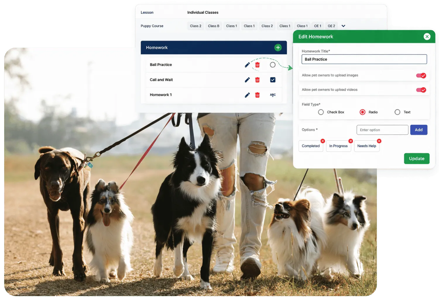 Training homework editor for a puppy course lesson, beside a walker with a pack of dogs