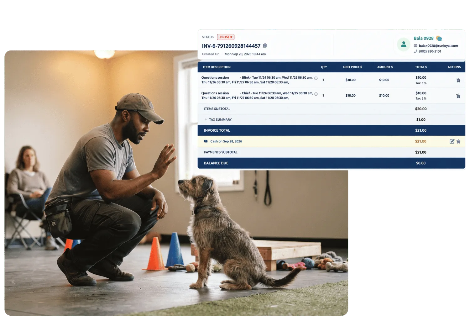 Closed invoice for multi-date training sessions paid in full by cash, beside a trainer signaling a sit to a scruffy dog in an indoor training room