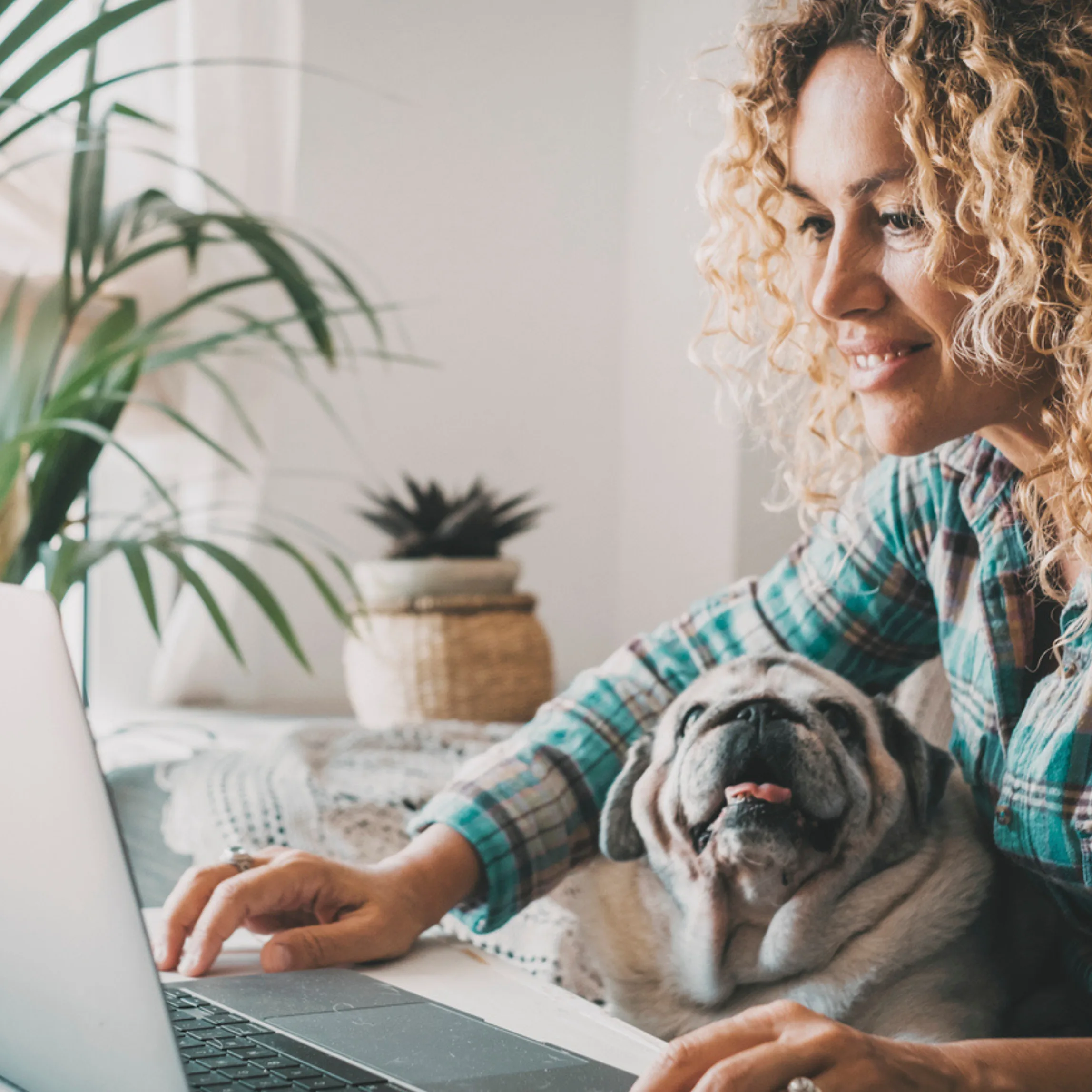 Pet care business owner using RunLoyal on a laptop