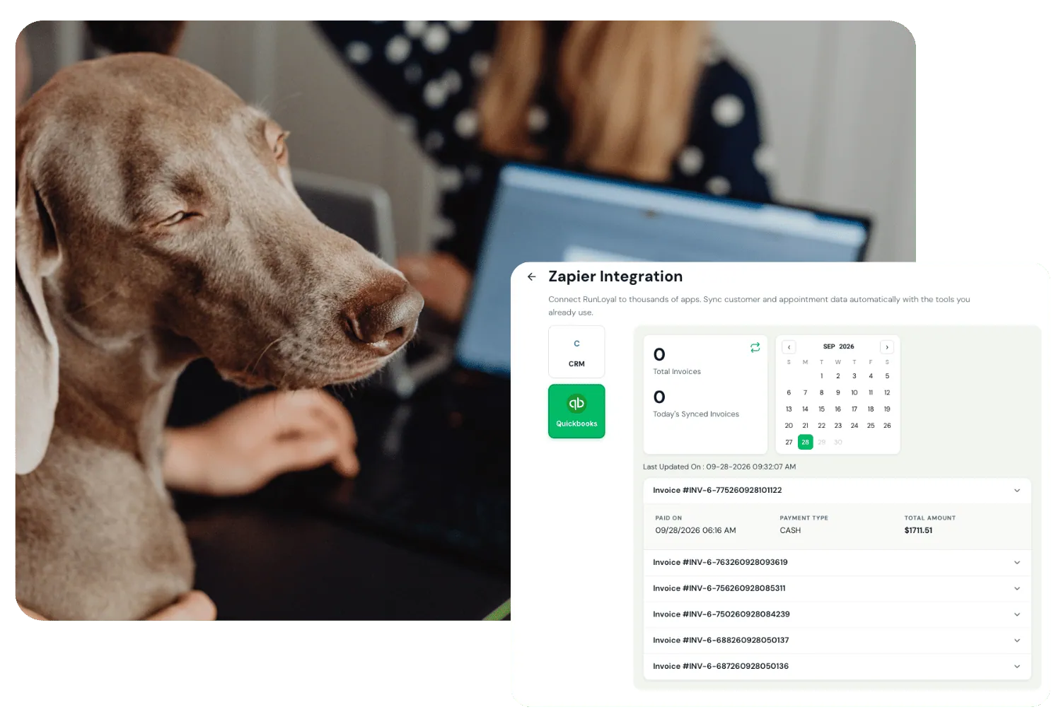 Zapier integration screen syncing invoices to QuickBooks, beside a dog next to a laptop