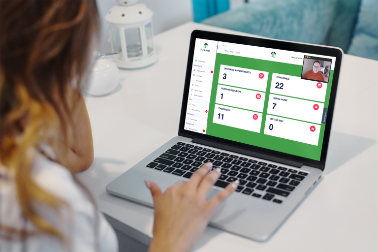 A person views a laptop screen displaying a video call and a dashboard with statistics including "Approvals", "Confirmed", "Pending Requests", "Good News", "Verifications", and "Bad News" for their dog daycare business.