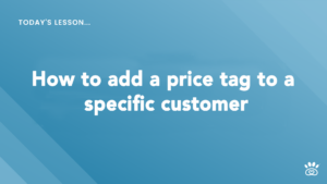 Blue background with white text that reads "Today's Lesson... How to add a price tag to a specific customer. Discover more in our Video Tutorials at RunLoyal Academy.