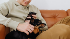 A person wearing a light hoodie sits on a brown couch, looking at a smartphone and petting a small black and brown dog on their lap, embodying everyday technology integration.