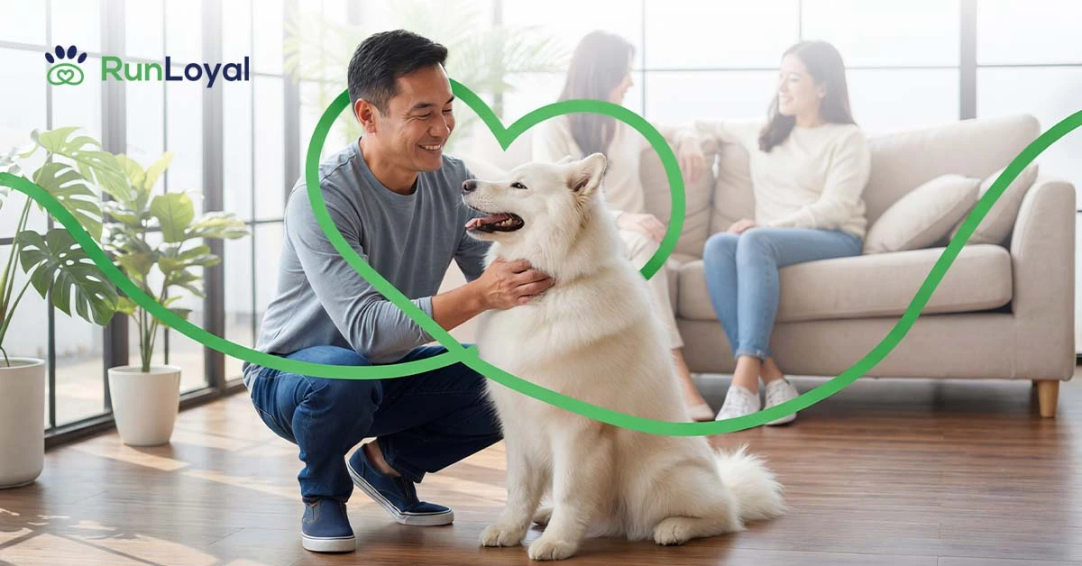 modern pet boarding expectations